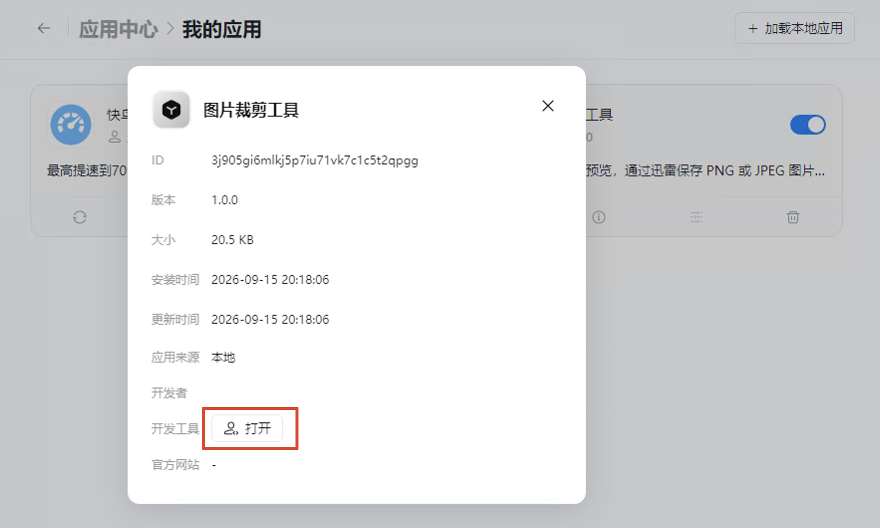 应用详细信息中的「开发工具」入口